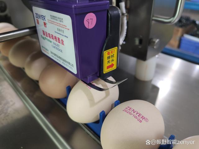 现在蛋品也追求溯源,所以蛋品加工企业对喷码机的需求也挺大.