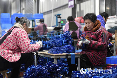 江西樟树:“乡村工厂”助就业